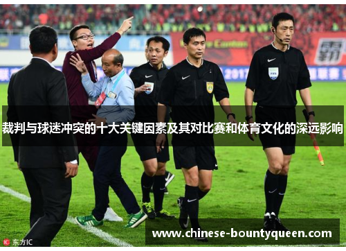 裁判与球迷冲突的十大关键因素及其对比赛和体育文化的深远影响