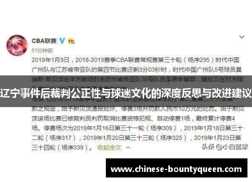 辽宁事件后裁判公正性与球迷文化的深度反思与改进建议 辽宁事件后裁判公正性与球迷文化的深度反思与改进建议