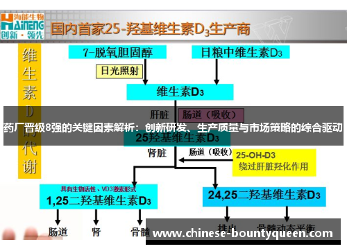 药厂晋级8强的关键因素解析：创新研发、生产质量与市场策略的综合驱动