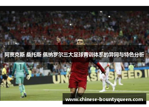 阿贾克斯 桑托斯 佩纳罗尔三大足球青训体系的异同与特色分析