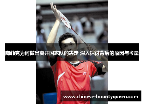 陶菲克为何做出离开国家队的决定 深入探讨背后的原因与考量