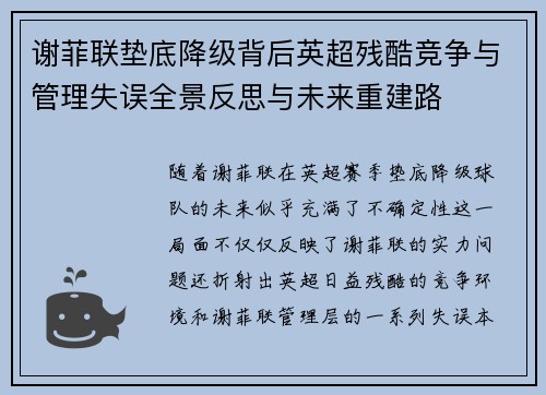谢菲联垫底降级背后英超残酷竞争与管理失误全景反思与未来重建路 谢菲联垫底降级背后英超残酷竞争与管理失误全景反思与未来重建路